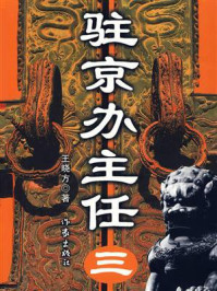 驻京办主任(三)/王晓方