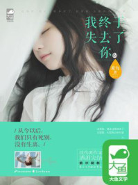 我终于失去了你2/麦九