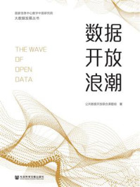 数据开放浪潮(大数据发展丛书)/公共数据开放联合课题组
