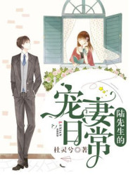 陆先生的宠妻日常/杜灵兮