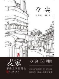 刀尖2:阴面/麦家