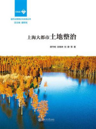 上海大都市土地整治/顾守柏