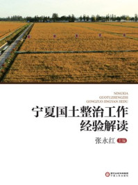 宁夏国土整治工作经验解读/张永红