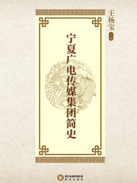 宁夏广电传媒集团简史/王杨宝