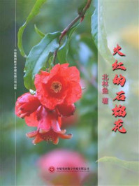 火红的石榴花/北林鱼