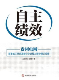 自主绩效:贵州电网:凯里麻江供电局数字化建模与绩效模式观察/王京刚