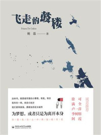 飞走的鼓楼/鲍磊