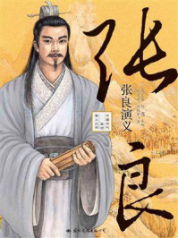 张良演义/杜富山