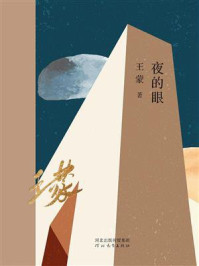 夜的眼/王蒙