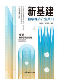 新基建:数字经济产业风口/张礼立