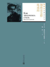 钢铁是怎样炼成的(插图本名著名译丛书)/(苏联)尼·奥斯特洛夫斯基