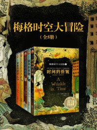 梅格时空大冒险（全五册）/马德琳·英格