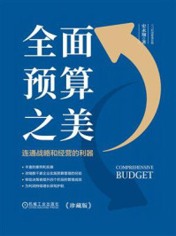 全面预算之美：连通战略和经营的利器/史永翔