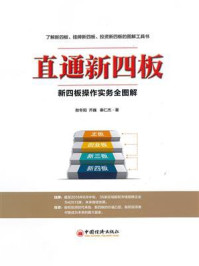 直通新四板：新四板操作实务全图解/秦仁杰