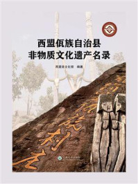 西盟佤族自治县非物质文化遗产名录/西盟佤族自治县文化馆