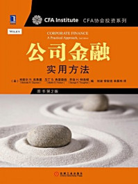 公司金融:实用方法(原书第2版)/克莱曼
