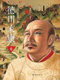 德川家康(新版)6:双雄罢兵/山冈庄八