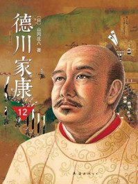 德川家康(新版)12:大坂风云/山冈庄八