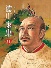 德川家康(新版)13:长河落日/山冈庄八