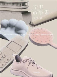 辛丑故事集/弋舟