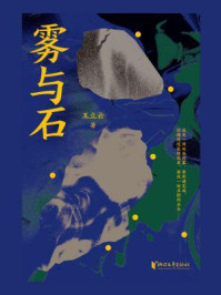 雾与石/王立云