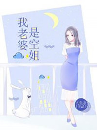 我老婆是空姐/九鱼亭