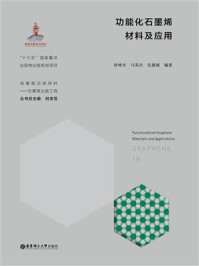 功能化石墨烯材料及应用/智林杰