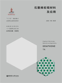 石墨烯宏观材料及应用/高超