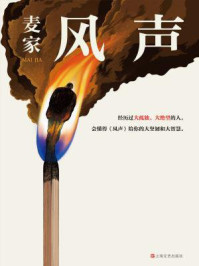 风声（周迅、李冰冰主演同名影视原著）/麦家