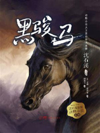黑骏马（沈石溪挚爱动物小说系列）/安娜·塞维尔