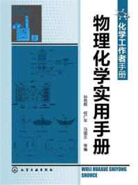 物理化学实用手册/孙艳辉
