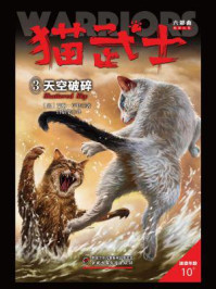 猫武士六部曲暗影幻象——3天空破碎/艾琳·亨特