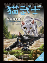猫武士六部曲暗影幻象：6风暴来袭/艾琳·亨特
