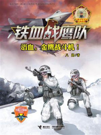 浴血，金鹰战斗机！/八路